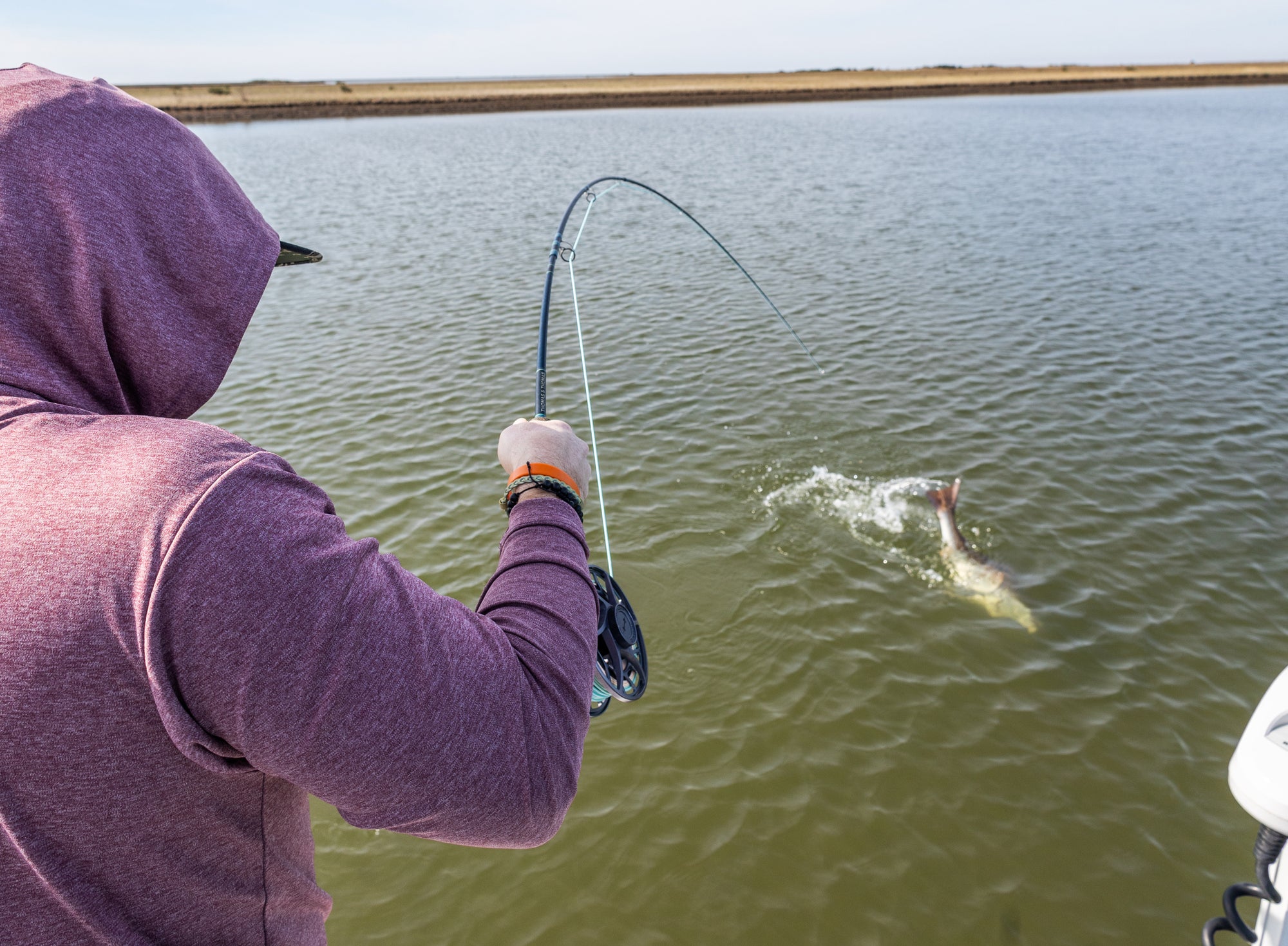 Dropback Steelhead, & Big Redfish - Hooked Ep. 15