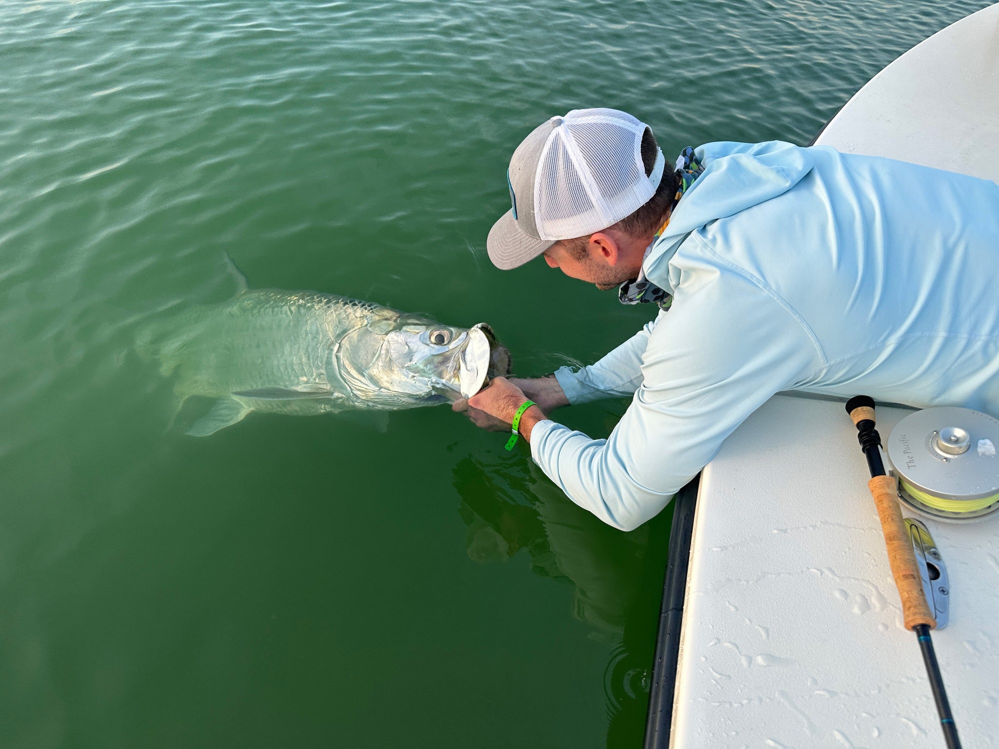 Tackling Tarpon Tackle