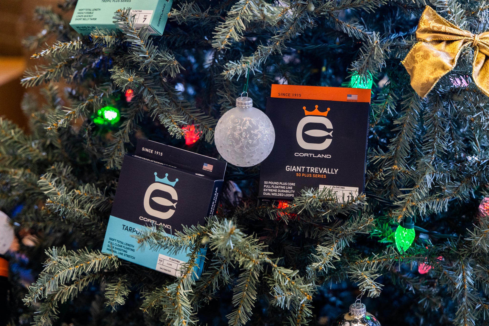 Tarpon Taper Clear and Giant Trevally Boxes sitting in a Christmas Tree, which is decorated with lights and ornaments 