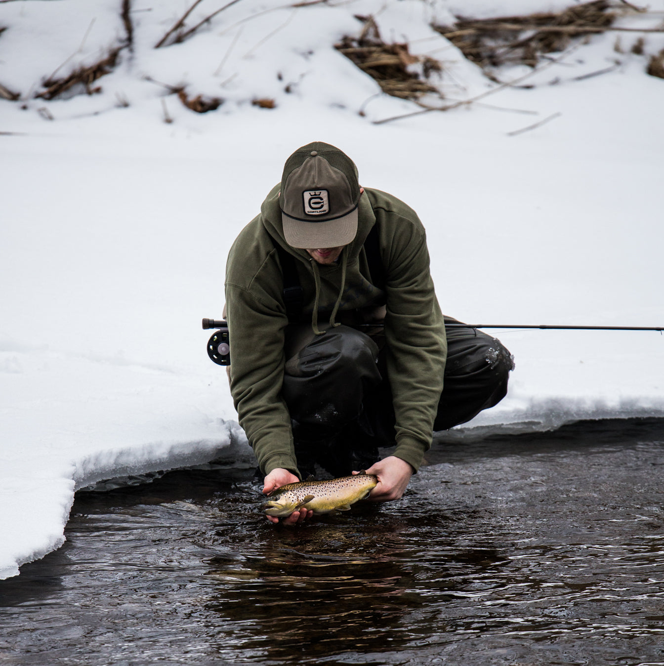 Tippet Rings